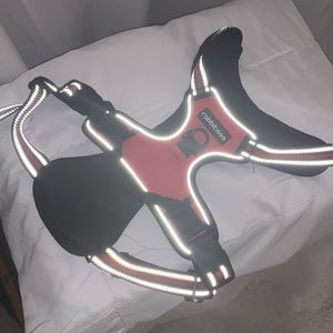 Dog harness large - rabbitgoo